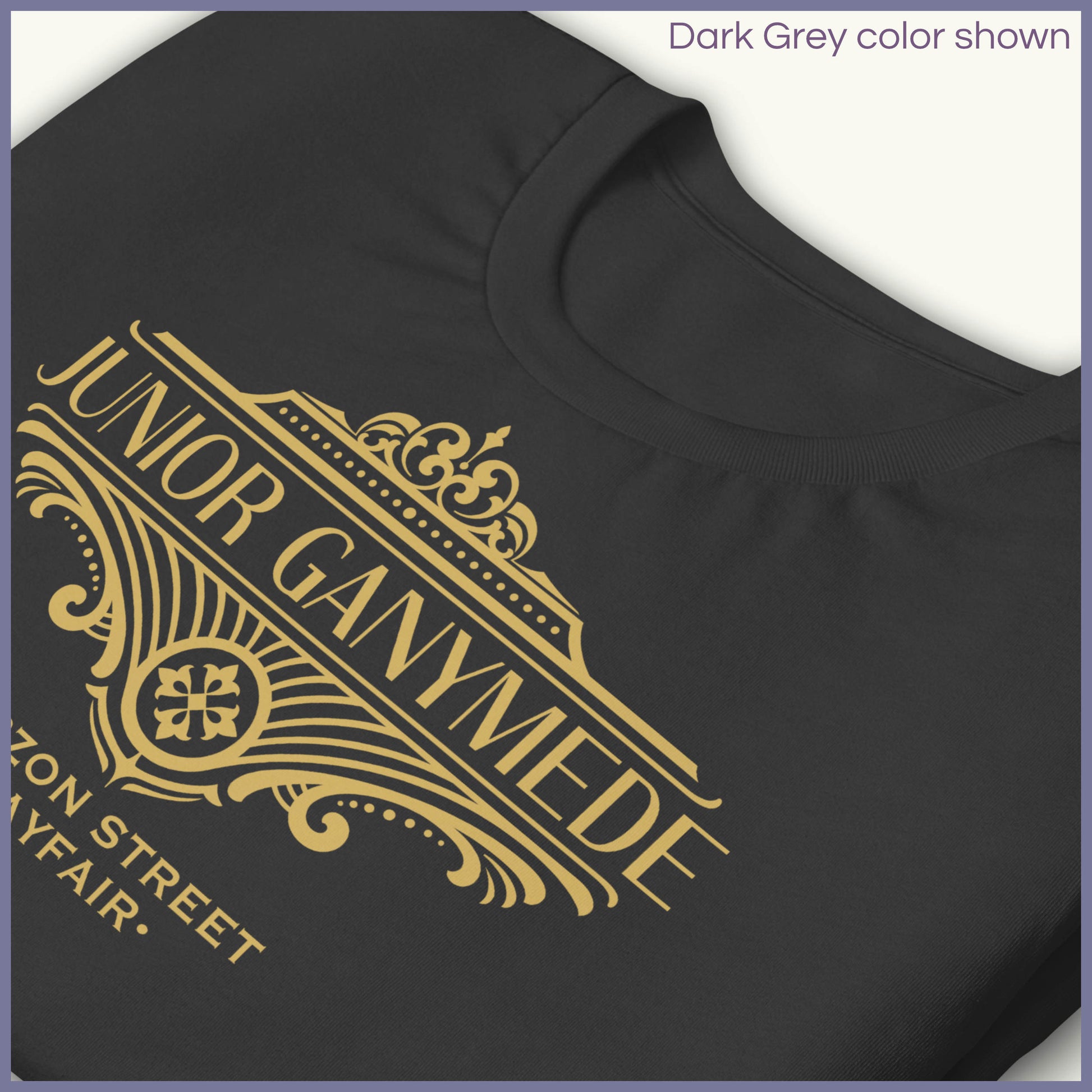 Dark gray Jeeves t-shirt with gold 'Junior Ganymede' design on a white background