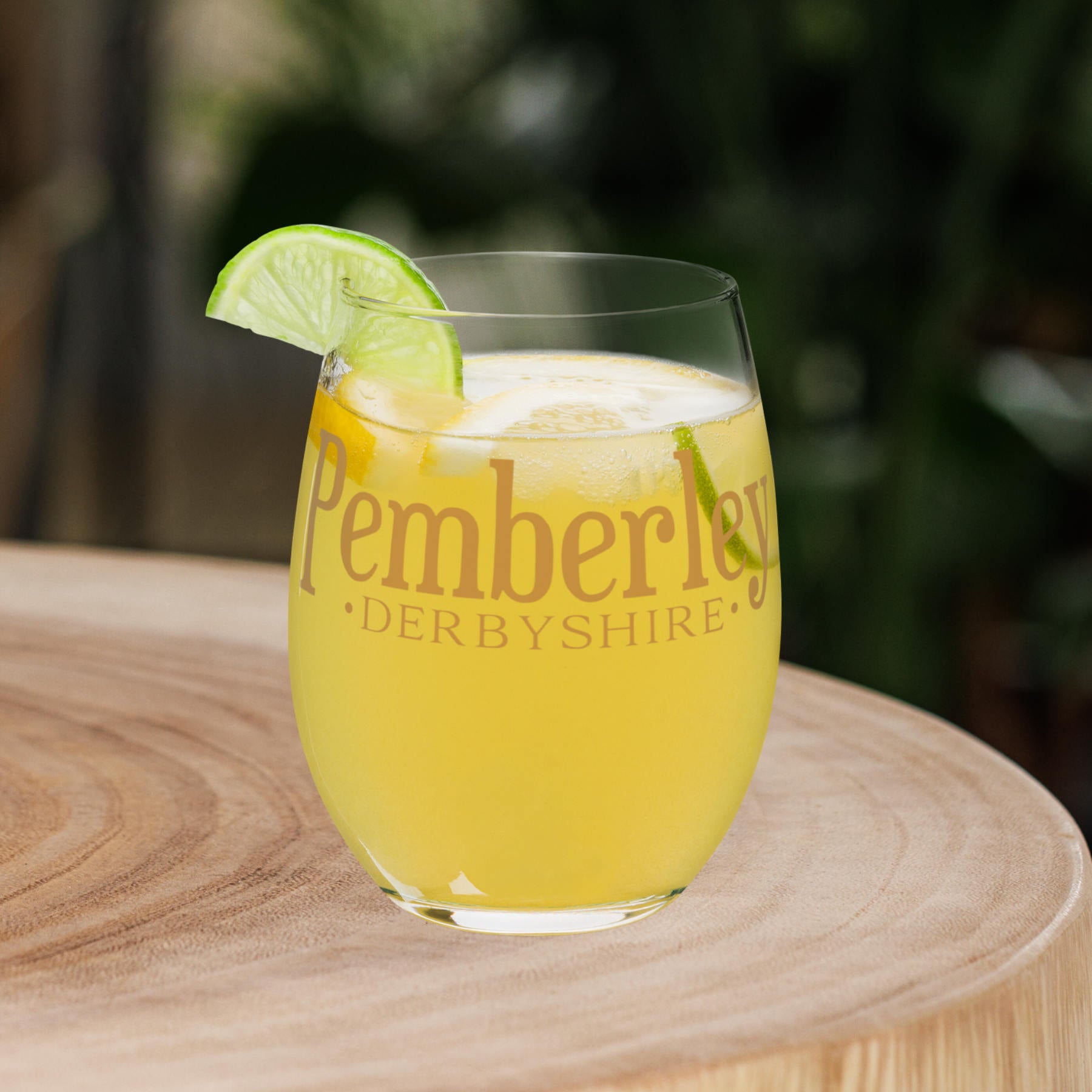 Pemberley Stemless Wine Glass Jane Austen Pride and Prejudice
